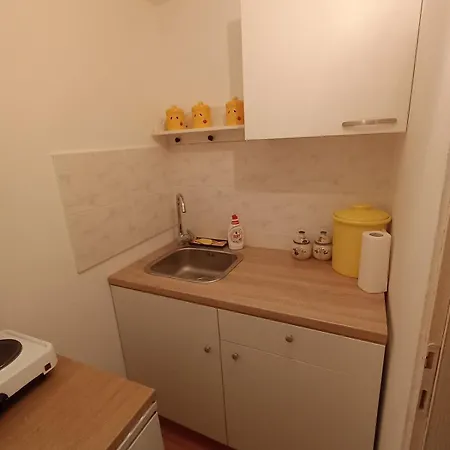 Kuca Za Odmor Ruza Vetrova Guest house