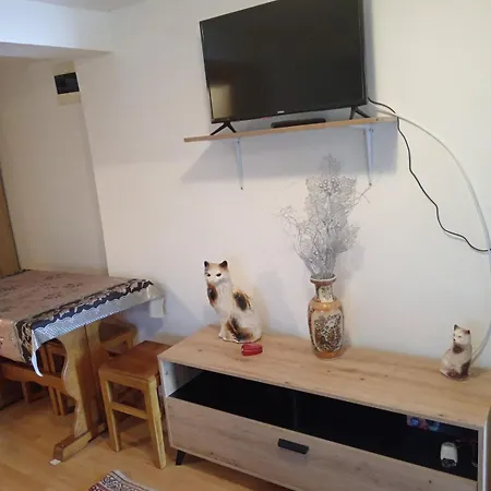 Kuca Za Odmor Ruza Vetrova Guest house