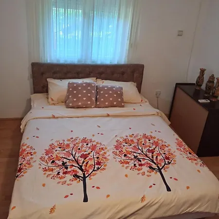 Kuca Za Odmor Ruza Vetrova 招待所 索科矿泉村