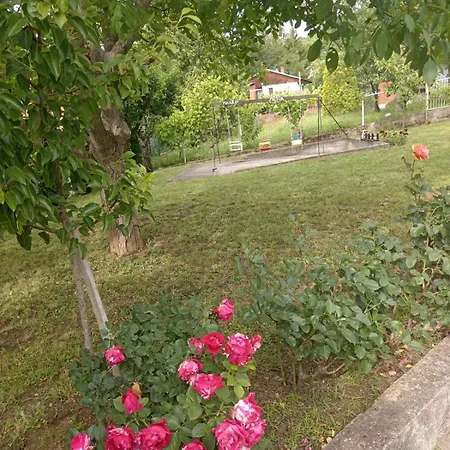 Kuca Za Odmor Ruza Vetrova *