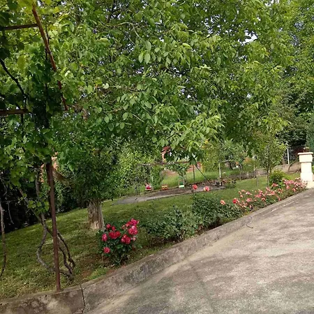 Kuca Za Odmor Ruza Vetrova * 索科矿泉村